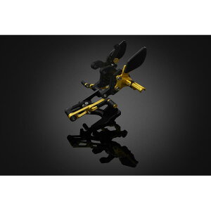 BIKERS (oCJ[Y) obNXebv CgS[h CBR400R H0865-LGD