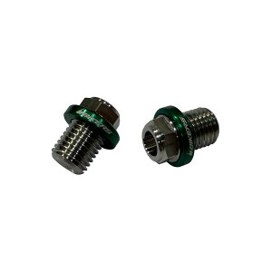BIKERS (バイカーズ) ミラーホール用ステンレスボルト グリーン ニンジャ250 Ninja250/R/SL CB250R CBR650R C0400-GRN