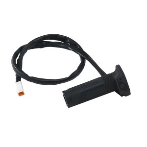 EFFEX (GtFbNX) Obvq[^[EGH001Obv EGH001-R-L