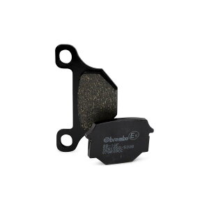 brembo (u{) ZGI ZGI u[Lpbh CC (A):yApriliazRS4 125 (AJPLp[)(11-19) 07GR09CC