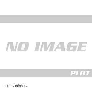 Quad Lock (NAbhbN) u[LU[o[^N}Eg - V2 QLM-BRS-2 9348943067348