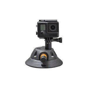 V[TbJ[ ANVJ}Eg ubN 17149