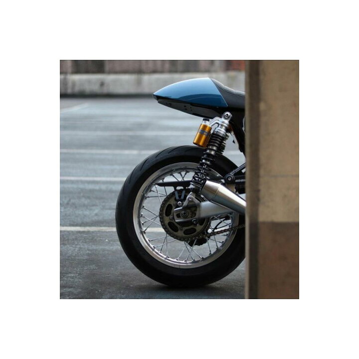 楽天市場】Motone(モートーン) チェーンガード GLADIUS ブラック 