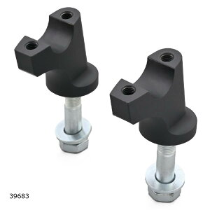 Daytona (fCgi) nhZbgobN G~l[^[ 23/Z650RS 39683