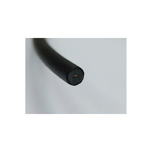 Daytona (fCgi) ėpvOR[h 7mm-2m 75416