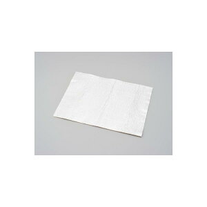 Daytona (fCgi) _lcOXE[ V[g 300X400 96243