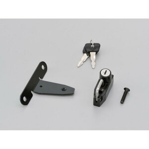 Daytona (fCgi) wbgz_[/ REBEL250/500 91599