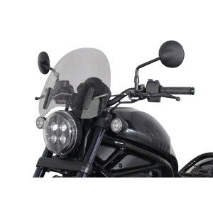�G���A�[���G�[ �X�N���[�� �c�[�����O �X���[�N Rebel1100 21-24 4025066171545
