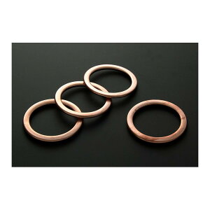 PMC (�s�[�G���V�[) �G�L�]�[�X�g�K�X�P�b�g Z750-Z1100 34-18067