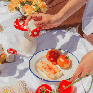 DOIY Amanita Salt&Pepper_CjOe[u؂₩ɉoLmRfUC̉傤ZbgRVEAȂƂĂgpLb`piCe