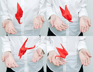 ܂莆ō铮`[t Peti Peto Tsuru Red vb`ybg c bh ዾYN[i[ tʃN[i[ @|PbgTCỸN[i[ CeAG Mtg v