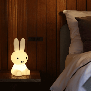 Mr Maria FIRST LIGHT miffy and friends/MiffyR[hXLEDUSBP[u[d6iKŒԐڏƖiCgCgl̃CeAMtg v[g