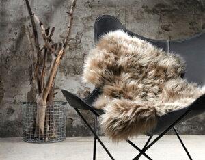 NATURES COLLECTION�V�[�v�X�L�� ���C�g�u���E���r�̖є烉�O�W���A���[���C���e���A��l�|���̈֎q�ɂ��傤�ǂ����T�C�Y�������������񂹏��i�k���C���e���A�ɂ������Ȃ��A�N�Z���g