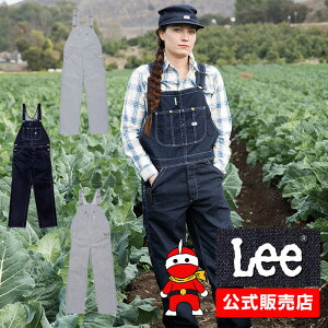 Ȃ fB[X Lee I[o[I[ [ Ȃ Y Tybg 킢 IV fjn qbR[[ Ȃ I[C fjȂ ƕ ]ƕ  DIY AEghA