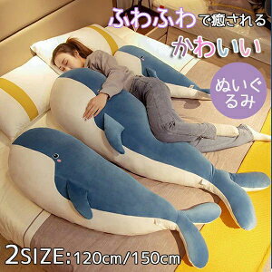 ������ �􂦂� �ʂ������ ������ �Y���Q�� �傫�� �N�W�������� �����O�b�Y �~ �ʂ������ ���� �����b�N�X ���킢�� �ӂ�ӂ� �􂦂� ���G�肢�� PP�� �v���[���g �M�t�g �a���� ���蕨 �q