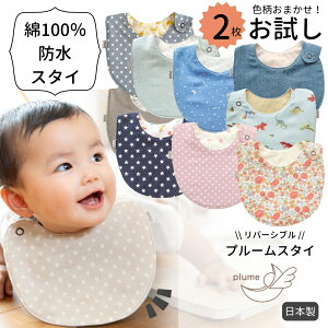 y X^C ܂2 X^CZbg z v[X^C yF܂z 1 X^C j̎q ̎q  ۈ牀 { 100% RbgX^C K[[ o[VuX^C X