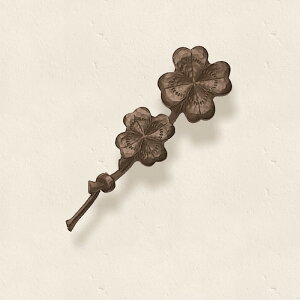 y|Cg2{zyv[gtz\D A-03EA-07Ɠӏ ~jI[igG fB[YK[f ACA  |Cg