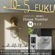 表札 ステンレス おしゃれ 戸建 切り文字 ハウスナンバー Mサイズ 北欧 アンティーク アイアン調 外構 ネ…
