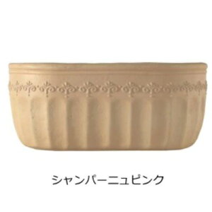 v^[ z_[  y|Cg2{zyv[gtz MTCY fB[YK[f