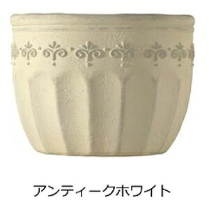 v^[ z_[  y|Cg2{zyv[gtz STCY fB[YK[f