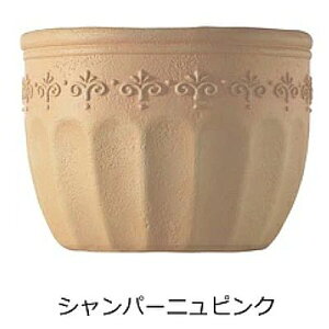 v^[ z_[  y|Cg2{zyv[gtz STCY fB[YK[f