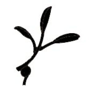 tFX  y|Cg2{zyv[gtzA[tBbNXtFX 1^ 2^ STCY O\ O ACAtFX fB[YK[f K[ftFX փAv[`  GN