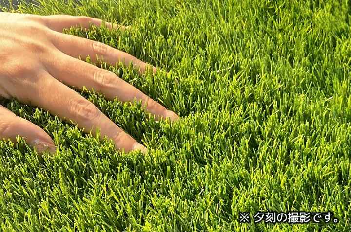 楽天市場】人工芝 ロール 2mx10m プロ仕様 高密度リアル ハイグレード