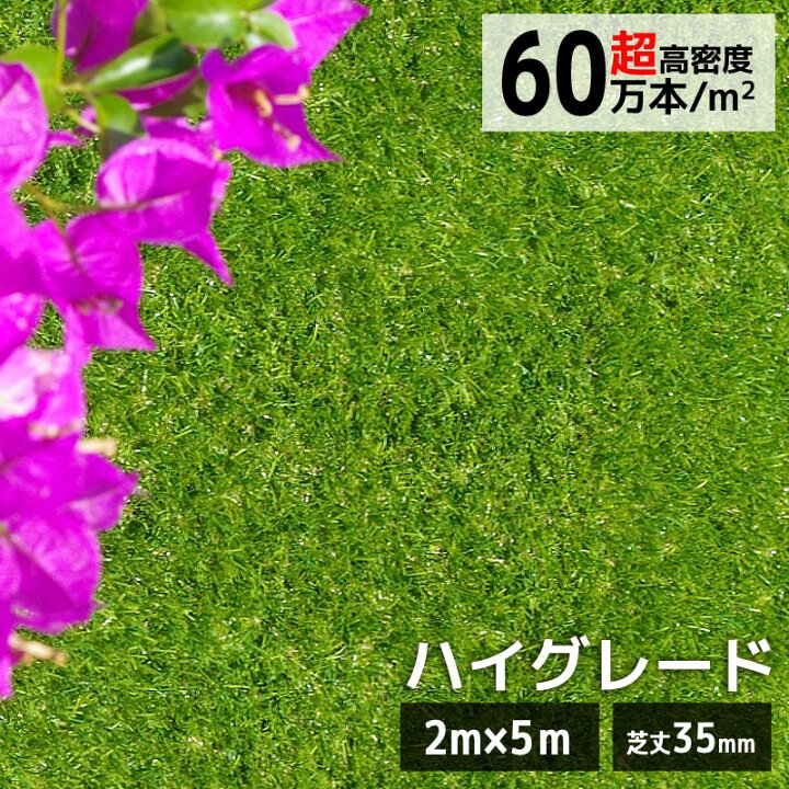 楽天市場】人工芝 ロール 2m×5m 10平米 芝丈35mm 高密度 リアル 芝生 