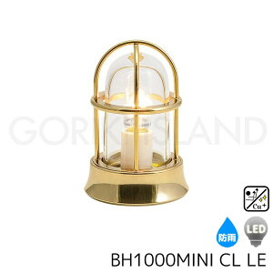  O Ɩ  D }v }Cg ~j O  h hJdl |[`Cg ^J O 哔 k LEDdl NAKX S[h F BH1000MINI CL LE