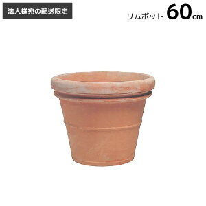 [@llւ̔z] Aؔ  ^  eRb^ v^[ ׃mb` |bg60cm 76L ꌊ Aؔ   fĂ fĂ C^A Benocci   Jo[