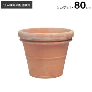 v^[  [@llւ̔z] Aؔ ^ ^  eRb^ ׃mb` |bg 80cm 163L ꌊ fĂ C^A Benocci   Jo[
