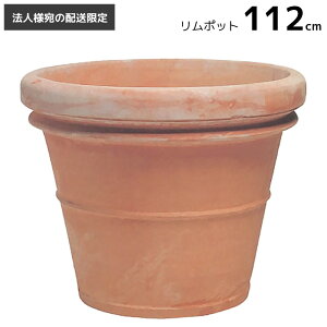 v^[  [@llւ̔z] Aؔ ^ ^  eRb^ ׃mb` |bg 112cm 446L ꌊ fĂ C^A Benocci   Jo[