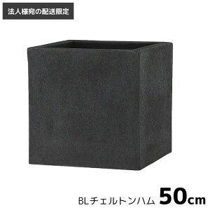 v^[  [@llւ̔z] Aؔ ^ ^ t@Co[ BL`Fgn 50cm 110L ꌊy y ` XNGA p` FRP k ubNACCg Jo[