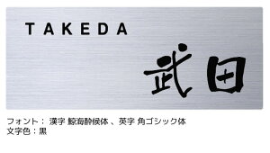 \D XeX Vo[  ˌ ˌ wAC ` I[_[Ch FLT2-S1