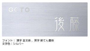 \D XeX Vo[  ˌ ˌ wAC ` I[_[Ch FLT2-S1