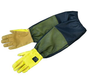  K[fO[u h΍ O[u 悯rJo[t  fB[X