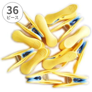 oT~ Ղɂ  v[} XC[gNbv 36  킢 tX s` J[hX^h Ԗڈ v`Mtg v[g bsO