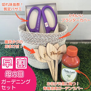 2025̓ K[fjOZbg Mtg oT~ v^[ L@