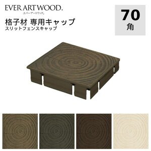 A~ppCv A~p XbgtFXp pLbv iq 70p 1 ؖړ N DIYpyiqޓwɌz