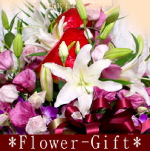 yzybhnzFőyԑzyu[PzyAWgzvɂ܂ȒPI[_[ytbVzyԁzyp[\izyt[zyMtgzyy