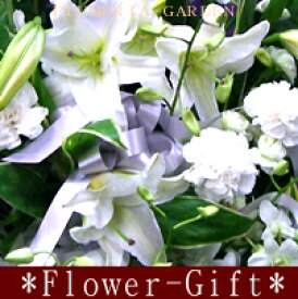 楽天市場 プルメリア 花束の通販