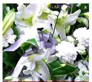 yzyzCgnzFőyԑzyu[PzyAWgzvɂ܂ȒPI[_[ytbVzyԁzyp[\izyt[zyMtgzyy