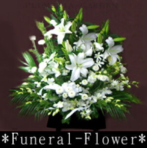 yMtgzyAWgzyԁzyԁzyԁz𗧂t[Mtg!yrWlXNXMtgz