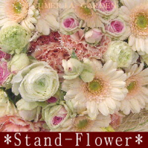 yjMtgzyX^ht[zyԁzy1izsNn⃁Cł܂Ƃ߁y~bNXt[zcj!𗧂t[Mtg!yrWlXNXMtgz