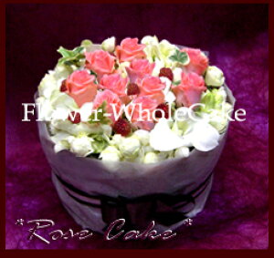 yzsx[t}[Wt u[YvyõtbVEt[P[LEAWgzaEp[eB[ԁEjt[Mtg