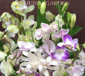 yzpy₳zFőyi`nzyzCgEsNnzyzCgnzIׂԑ AWgvɂ܂ȒPI[_[ tbV  