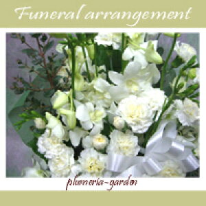 􂨉Ԃ̃vɂC!╧  ԁ@݁yAWgzyԑzyu[PztbVEԁuIŊȒPɂvt[MtgI slE@lE