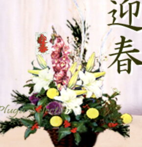 yzyWz}tnAW鐝ᏼ|~uamܒv􏼒|~̑傫؂̌ŁIRɌ܂􁟂̂܂܂ŒuyXԏ聟