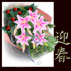 yWz}tԁǂ̂""Vv"ɏǕid!E痼EZbgyXԏ聟xxp̑蕨ɂǂԁEԑ