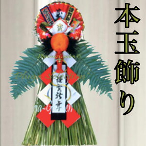 yWz}t{̋ʏ{iE֏yLLTCYz